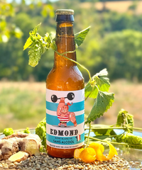 Bière Blanche Edmond 33cl - BIO - sans alcool
