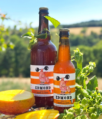 Bière IPA Edmond 33cl - BIO - sans alcool